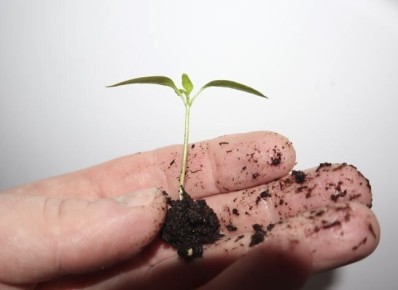 ����������� �������� ��������� ������� ����� � ������� ��� ��������� �����