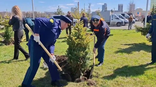 �������� ����������� ������� ������ ������� � �������� ����� �� ������� ���� �� ������������ ��������� ��������� ������������