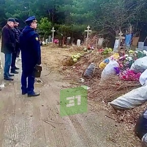 � ������� ������ �������� ������������ � �������� ������