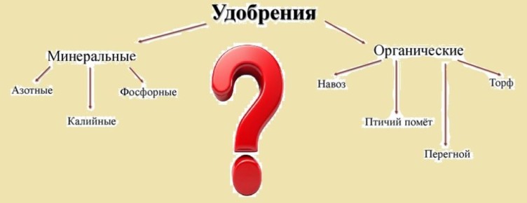 ����������� � ������������ ���������: ��� ������� ��� ��������� �����������?