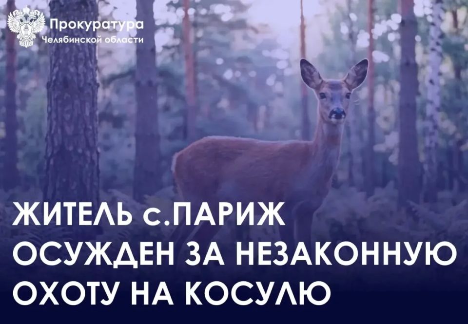 Приговором мирового судьи судебного участка № 1 Нагайбакского округа житель с. Париж признан виновным в совершении преступления предусмотренного п. «б» ч. 1 ст. 258 УК (незаконная охота, совершенная с применением...