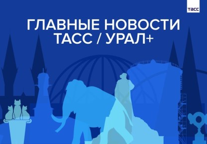 ������� ������� ���� / ����+ � ������ 8 ���: