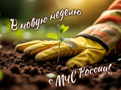 #����������������������. ���� �����������, � �������������� ��������� ����� ������