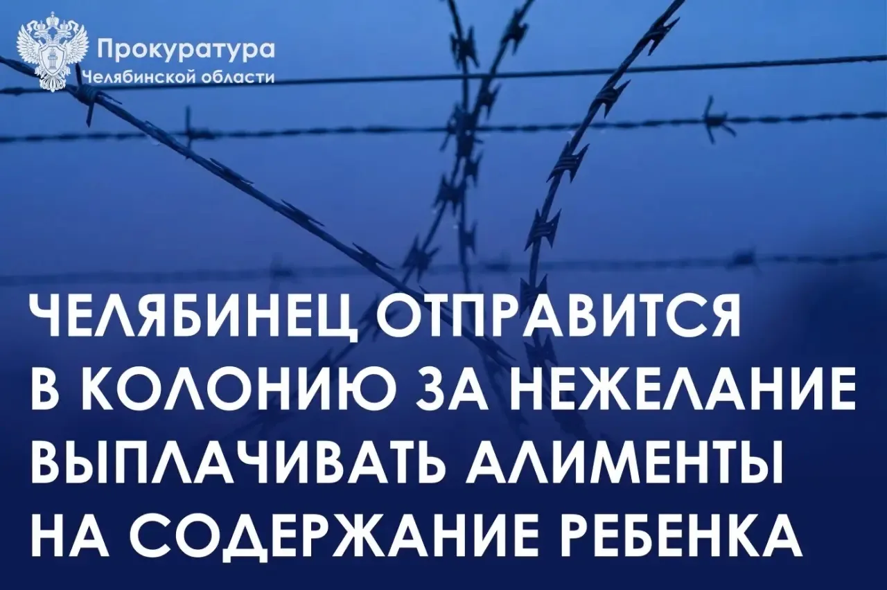 Сосновский районный суд вынес приговор по уголовному делу в отношении 42-летнего жителя г. Челябинска. Он признан виновным в совершении преступления, предусмотренного ч. 1 ст. 157 УК РФ (неуплата родителем без уважительных...