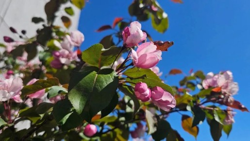 ������ ���� ������ ���������: ������� ������ � ����������� �������