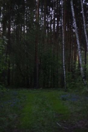В окрестностях Пашнино, Челябинская область