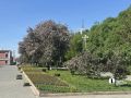 Лето начинается в цветниках Челябинска