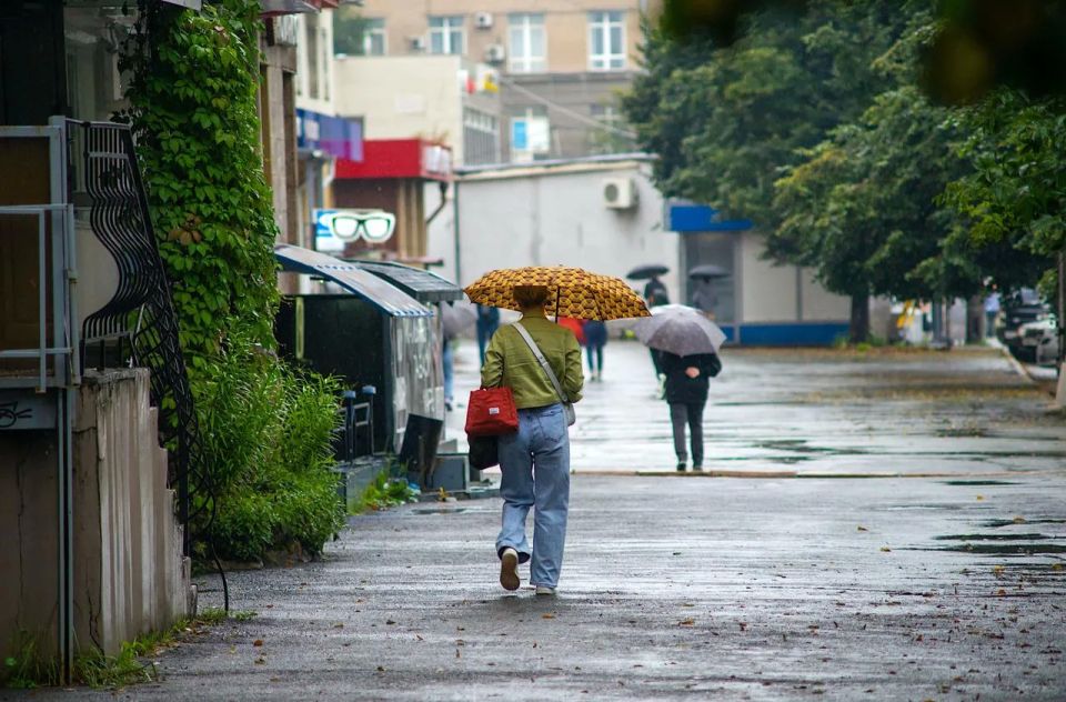 На Челябинскую область обрушатся ливни с градом и сильный ветер