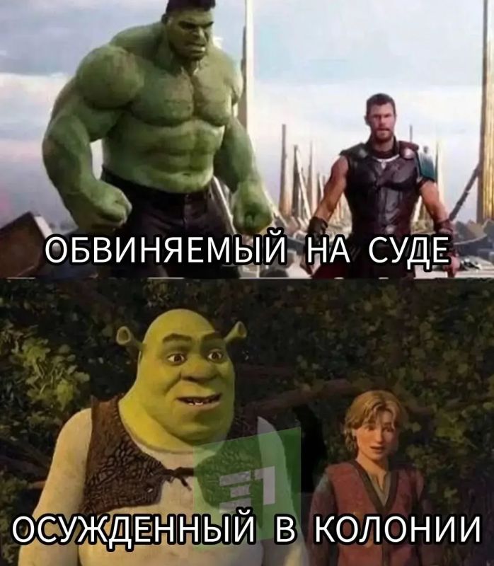 Подсудимый порвал материалы уголовного дела прямо во время заседания