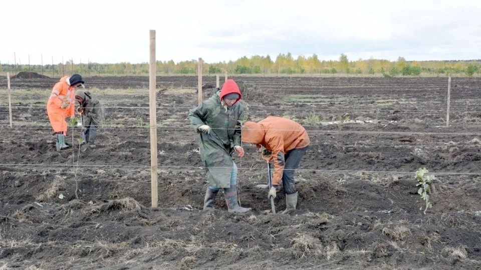 Аграриям в Челябинской области компенсируют расходы на практику студентов