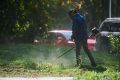 Мэр Челябинска поручил убирать с газонов скошенную траву, пока она не высохла