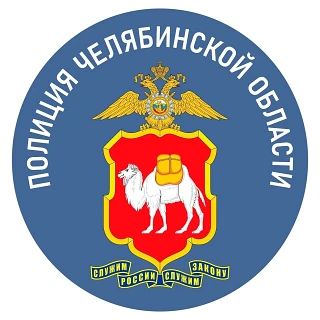 В рамках возбужденных уголовных дел Главным следственным управлением ГУ МВД области силовики провели в регионе оперативные мероприятия