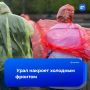 Похолодание сменит аномальную жару на Урале