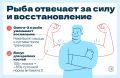 Рыба – еда чемпионов!. О пользе рыбы сказано немало, но наука продолжает открывать всё новые причины включить её в свой рацион