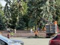 Последствия ураганного ветра устраняют в Челябинске