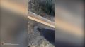 ������ ����������� ������� ����������� � 17 ����� ������� ������� �� ��������� � ���������