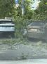На улице Красной дерево упало прямо на автомобили