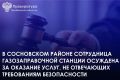 Сосновский районный суд вынес приговор в отношении 55-летней местной жительницы