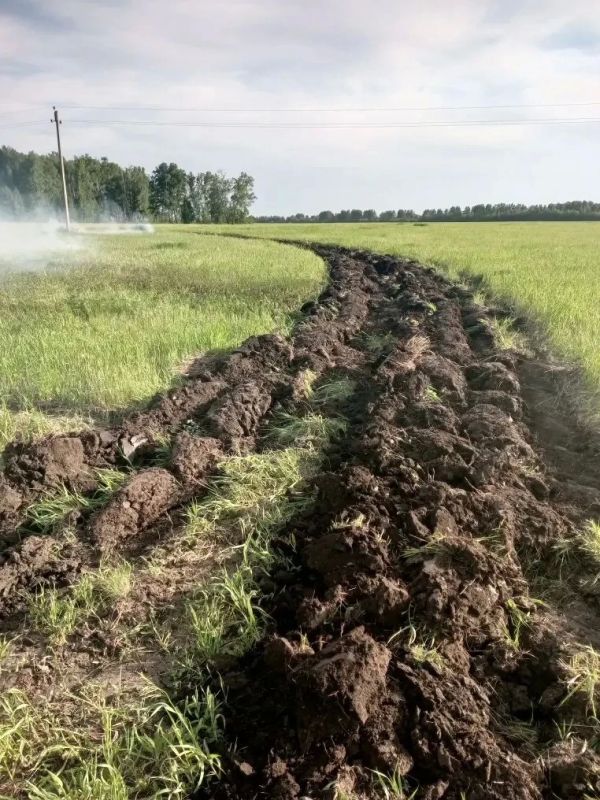 Лесные пожары:. — Всего потушено 79 лесных пожаров на 321,6 га