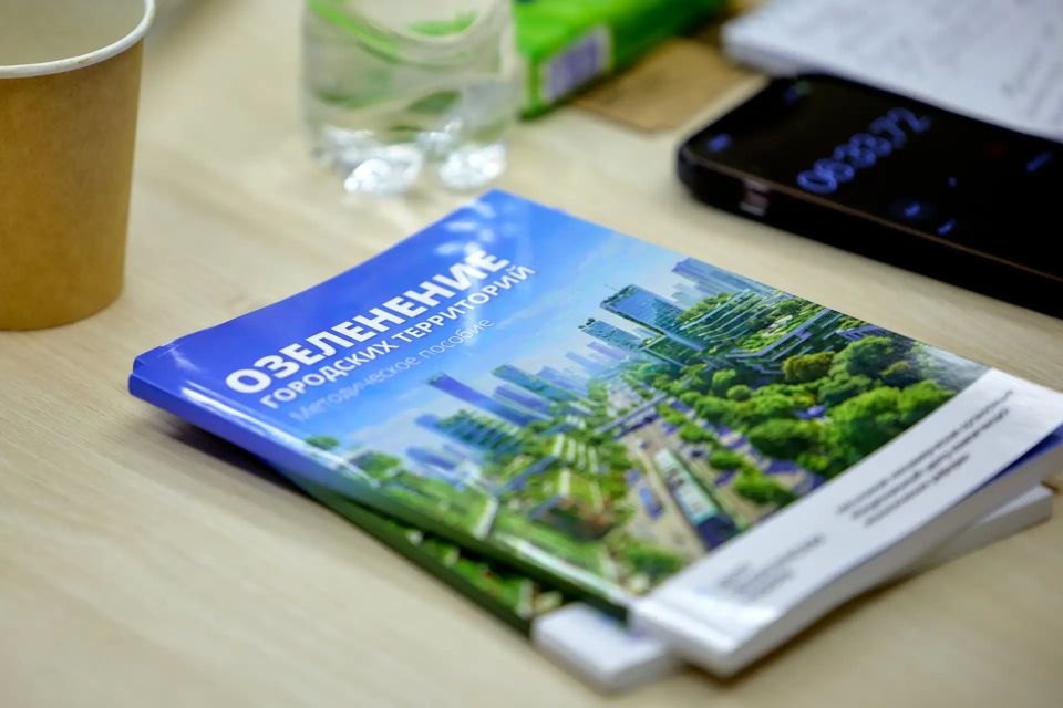 Почему озеленение городов больше не может быть просто «декором»? Почему озеленение городов больше не может быть просто «декором»?
