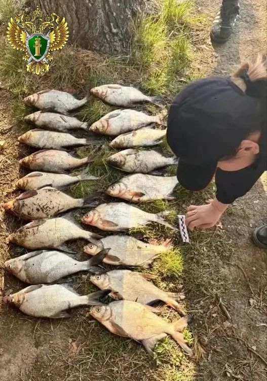 Житель Верхнего Уфалея ответит перед судом за незаконную добычу водных биологических ресурсов