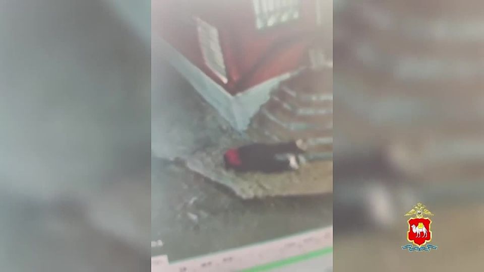 Участковая из Златоуста спасла задыхавшегося мужчину с помощью дужки от очков