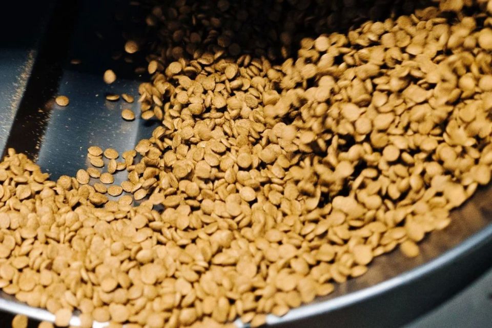Челябинский производитель сухих кормов для животных намерен стать лидером рынка с помощью роботизации Челябинский производитель сухих кормов для животных намерен стать лидером рынка с помощью роботизации
