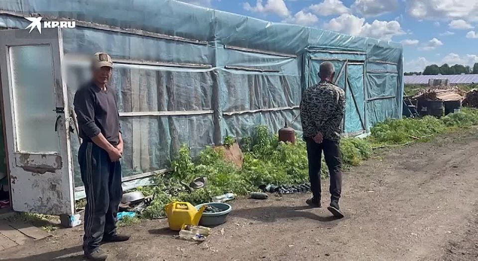 Нелегалы в грядках: полицейские задержали иностранных работников в теплицах под Челябинском