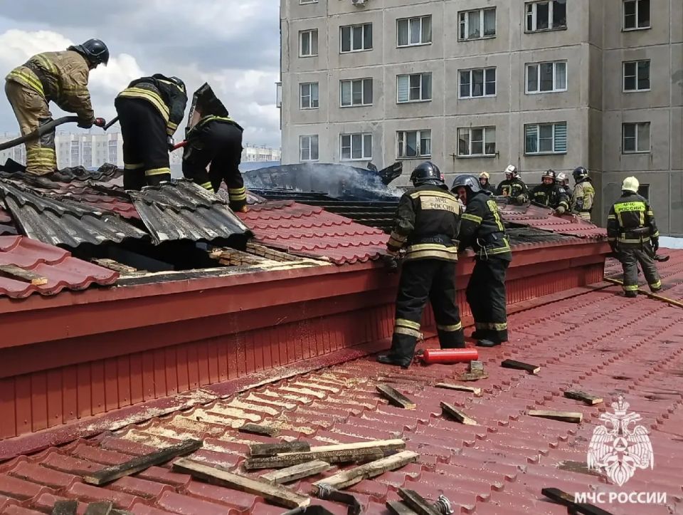 В МЧС назвали причину пожара в ветклинике на северо-западе Челябинска