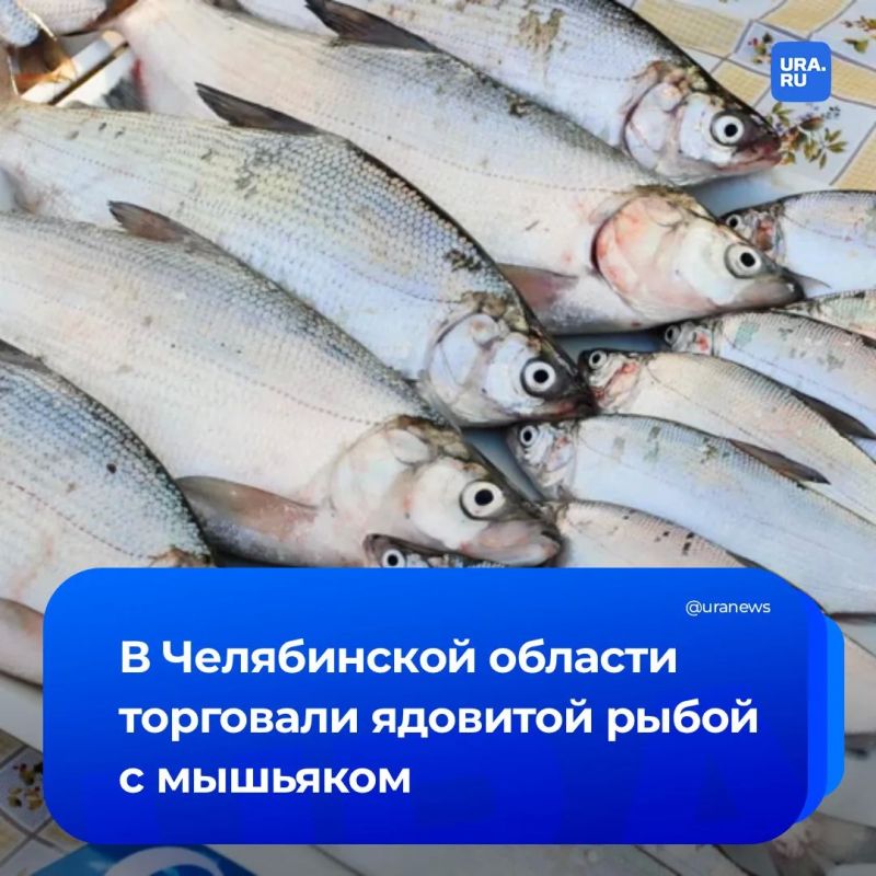 Мышьяк и свинец обнаружили в мороженой рыбе в Челябинской области