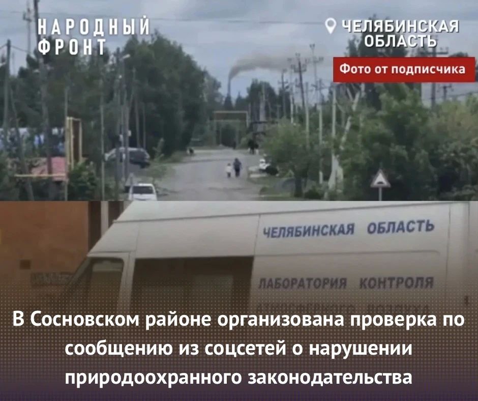 В Сосновском районе организована проверка по сообщению из соцсетей о нарушении природоохранного законодательства