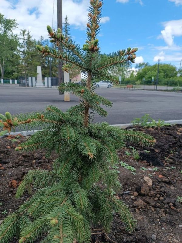 В сквере деревни Яраткулова — новые перемены