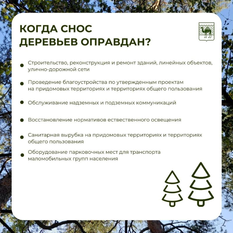 Почему спилили дерево во дворе и когда это законно? Почему спилили дерево во дворе и когда это законно?