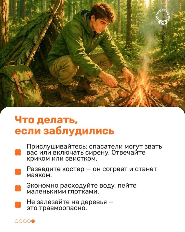 Скоро начнется сезон ягод и грибов, а значит — самое время вспомнить правила безопасности Скоро начнется сезон ягод и грибов, а значит — самое время вспомнить правила безопасности