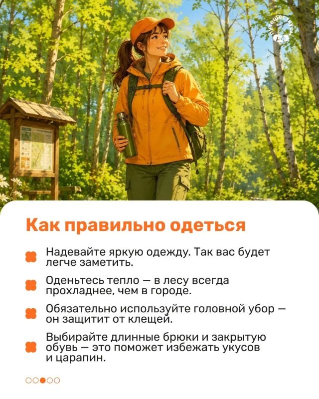 Скоро начнется сезон ягод и грибов, а значит — самое время вспомнить правила безопасности Скоро начнется сезон ягод и грибов, а значит — самое время вспомнить правила безопасности