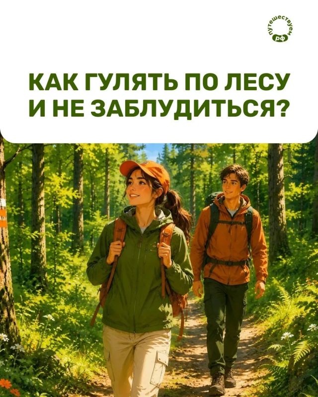 Скоро начнется сезон ягод и грибов, а значит — самое время вспомнить правила безопасности