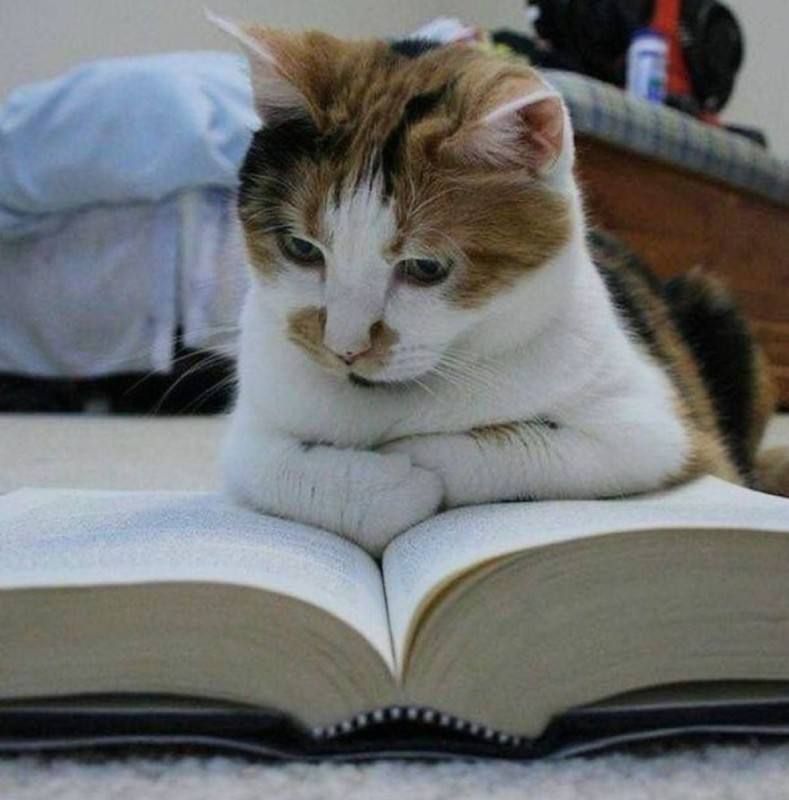 Челябинки признались, что читающие мужчины кажутся им умнее и привлекательнее