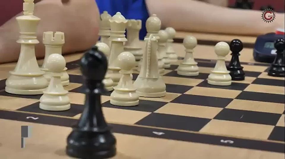 Сразу три золотые медали взяли челябинцы на чемпионате Европы по шахбоксу