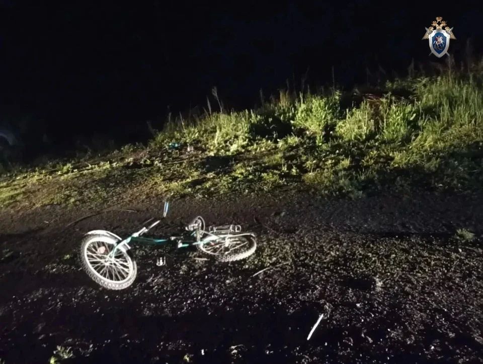 В Челябинской области СК возбудил дело после гибели девятилетнего мальчика