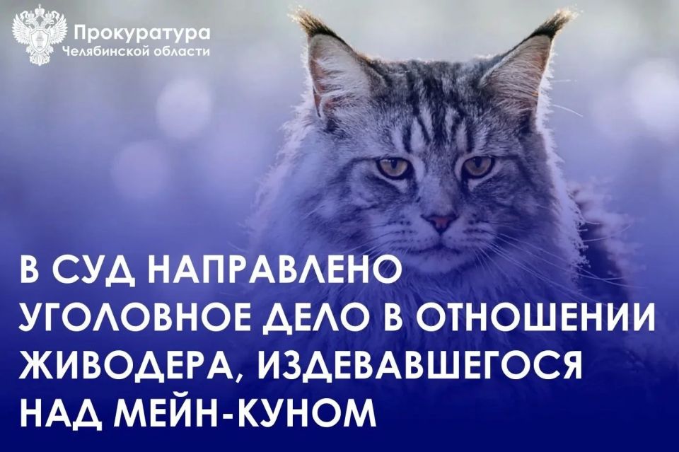 Прокуратура Калининского района города Челябинска утвердила обвинительный акт в отношении местного жителя