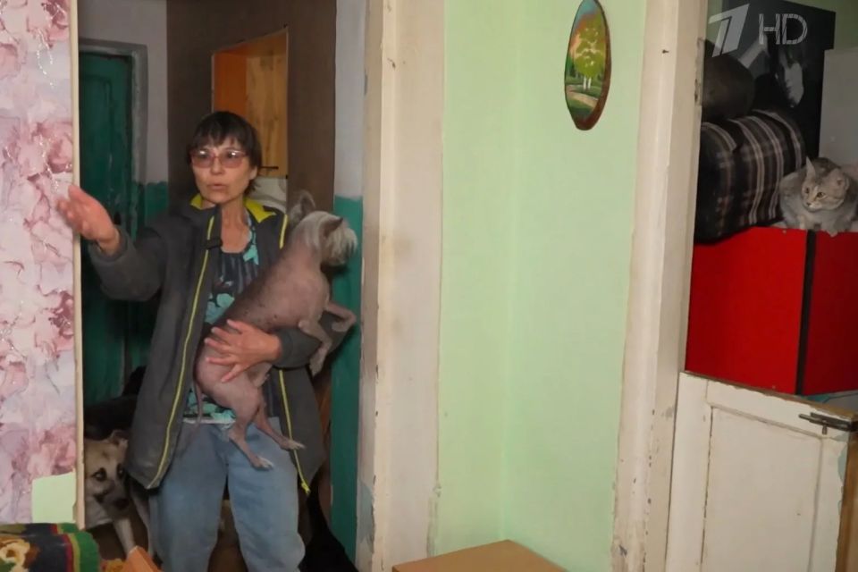 «Моя внучка родилась пьяной!»: непутевая мама отсидела 18 лет, а теперь хочет забрать дочь у бабушки, которая живет с 32 собаками «Моя внучка родилась пьяной!»: непутевая мама отсидела 18 лет, а теперь хочет забрать дочь у бабушки, которая живет с 32 собаками