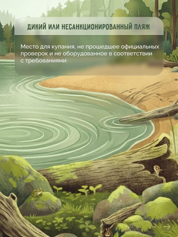 Чем официальный пляж отличается от дикого? Чем официальный пляж отличается от дикого?