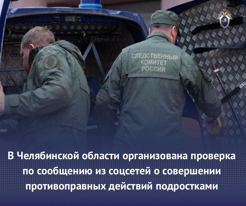 В Челябинской области организована проверка по сообщению из соцсетей о совершении противоправных действий подростками