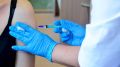 Челябинские специалисты объяснили, какие прививки нужно ставить летом