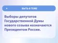 Быть в теме: назначение выборов