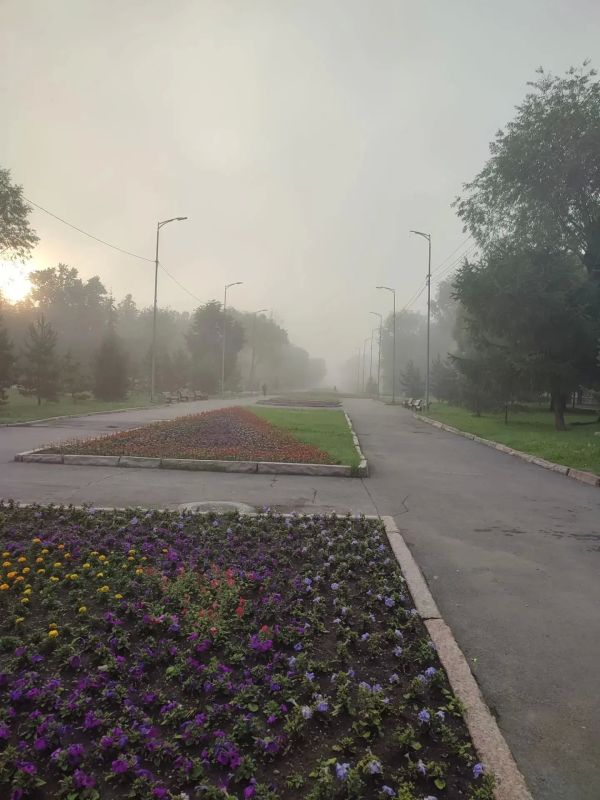 Ряд городов Челябинской области окутало туманом Ряд городов Челябинской области окутало туманом