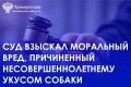 Прокуратура города Усть-Катава приняла меры, направленные на защиту прав 10-летнего ребенка, пострадавшего от укуса соседской собаки в поселке Вязовая