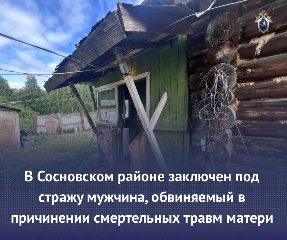В Сосновском районе заключен под стражу мужчина, обвиняемый в причинении смертельных травм матери