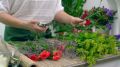 15 чудесных цветов для срезки, которые украсят любой букет