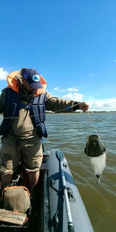 В Челябинской области изучают экосистему обмелевшего водохранилища В Челябинской области изучают экосистему обмелевшего водохранилища